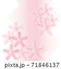 シフォンの桜のドレスのようなイメージ、やさしいピンク 71846137