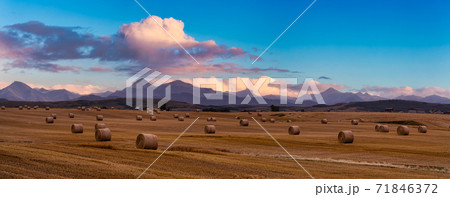 Panoramic View of Bales of Hay in a farm field. Panoramic View of Bales of Hay in a farm field. 71846372