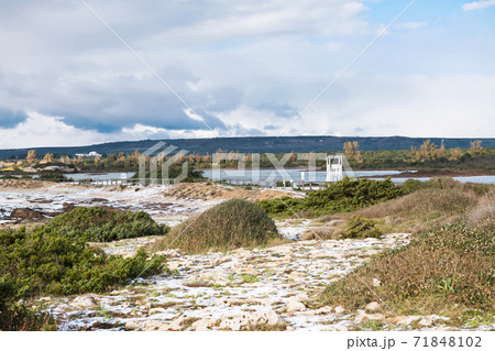 Natural reserve Salina dei Monaci in the snow, Puglia, Italy Natural reserve Salina dei Monaci in the snow, Puglia, Italy 71848102