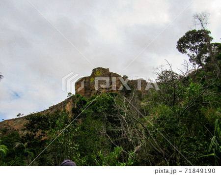 Trees and wild animals on the natural fall season at forest in Ranomafana National Park in Madagascar 71849190