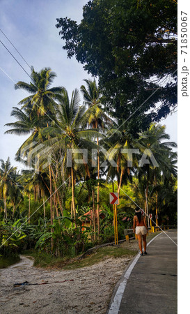 woman walking alone at the empty tropical road with lots of palm trees in Cebu Island in Philippines woman walking alone at the empty tropical road with lots of palm trees in Cebu Island in Philippines 71850067