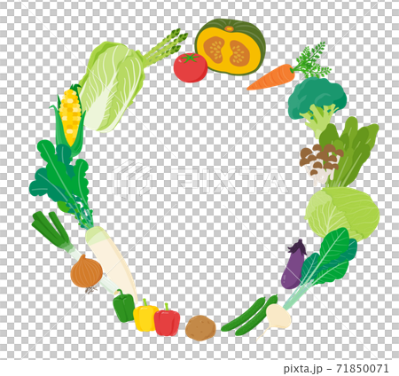 vector, vectors, vegetables 71850071