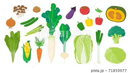 vegetables_line up White Back 71850077