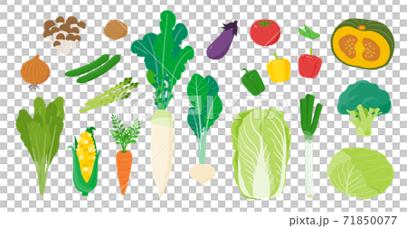vegetables_line up White Back 71850077