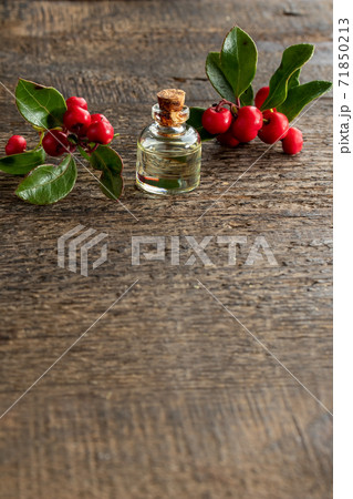 A bottle of wintergreen essential oil with wintergreen twigs, with copy space at the bottom 71850213