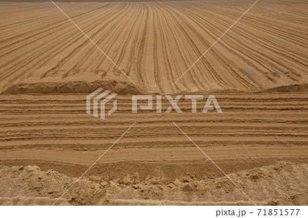 畝たて準備の土地ならし 畝たて準備の土地ならし 71851577