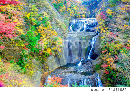 秋の袋田の滝4 秋の袋田の滝4 71851882