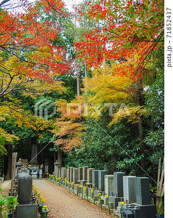 松戸本土寺の紅葉の写真素材