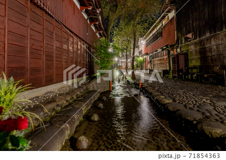 郡上八幡 やなか水のこみち 夜景 郡上八幡 やなか水のこみち 夜景 71854363
