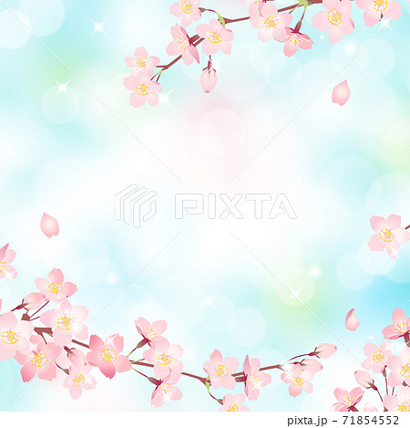 満開の桜と青空の背景素材 ベクターイラストフレーム 正方形のイラスト素材