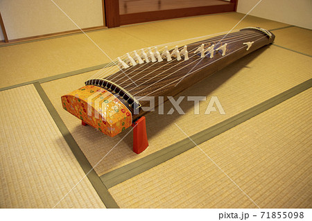 畳の上に置かれた箏 71855098