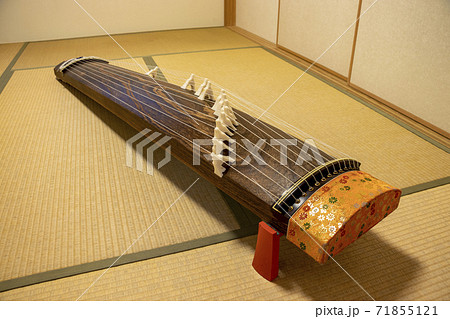 畳の上に置かれた箏 71855121