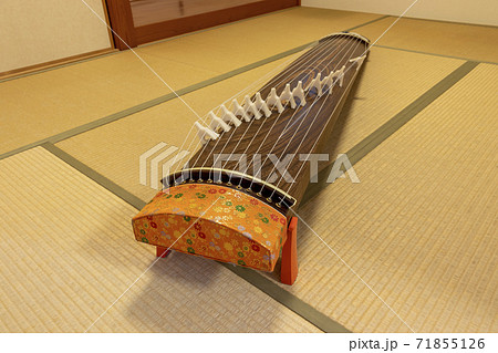 和室と箏 和室と箏 71855126