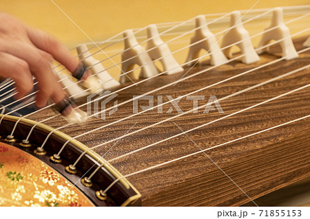 お琴を演奏する 71855153