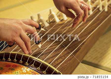 和楽器・箏の演奏 71855154