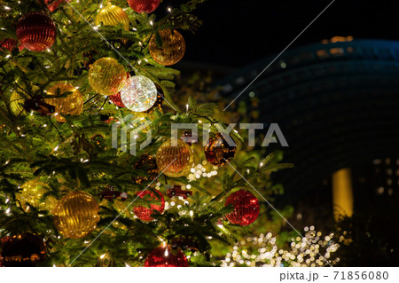 恵比寿ガーデンプレイスのクリスマスツリー・イルミネーション 恵比寿ガーデンプレイスのクリスマスツリー・イルミネーション 71856080