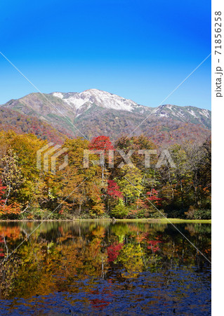 刈込池　紅葉　白山国立公園 71856258