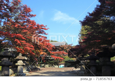 能仁寺 紅葉 能仁寺 紅葉 71856763