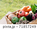 野菜の詰め合わせ 71857249