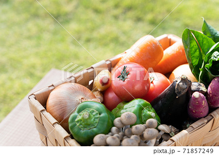 野菜の詰め合わせ 71857249