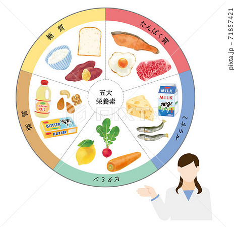 五大栄養素と栄養士のおしゃれなベクターイラスト 71857421