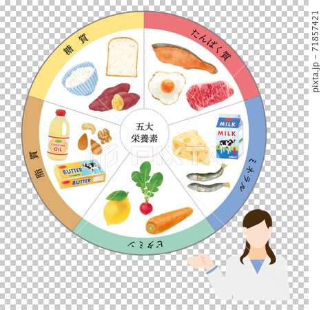 五大栄養素と栄養士のおしゃれなベクターイラスト 71857421