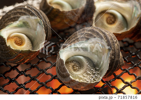 サザエの壺焼き 71857816