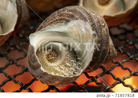 サザエの壺焼き 71857818