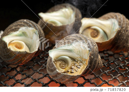 サザエの壺焼き 71857820