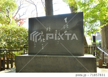 調神社・境内の長谷川かな女　句碑 71857831