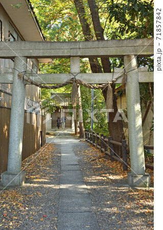 調神社・境内社 金毘羅神社 石鳥居 調神社・境内社 金毘羅神社 石鳥居 71857842