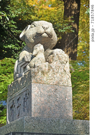 調神社・境内入り口 狛兎 調神社・境内入り口 狛兎 71857846