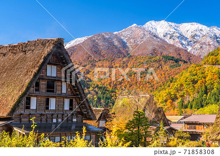 岐阜県 秋の白川郷 紅葉の合掌造り集落の写真素材