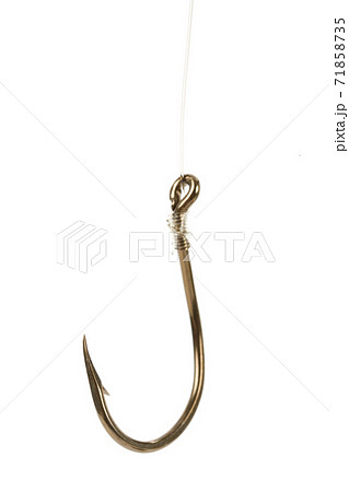 Fishing Hook 71858735