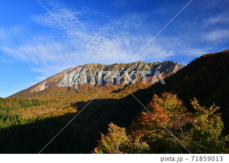 大山の紅葉 71859013