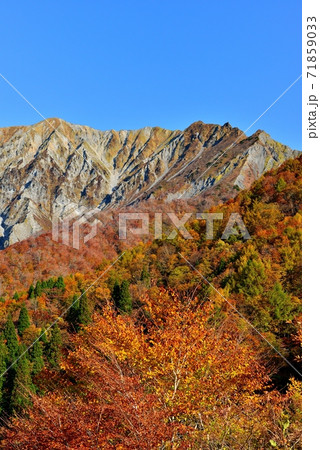 大山の紅葉 71859033