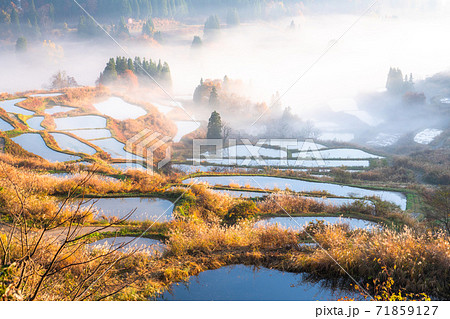 《新潟県》秋の星峠の棚田・朝霧の棚田 《新潟県》秋の星峠の棚田・朝霧の棚田 71859127