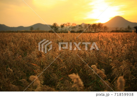 夕焼け 日没 夕暮れ 71859938