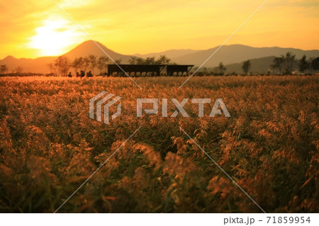 夕焼け 日没 夕暮れ 71859954