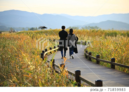 草原 秋 カップル 71859983
