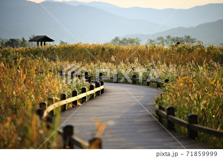 夕焼け 日没 夕暮れ 71859999