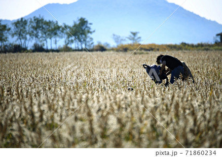 草原 女性 女 71860234
