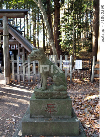 宝登山神社 奥宮 狛犬 宝登山神社 奥宮 狛犬 71860290