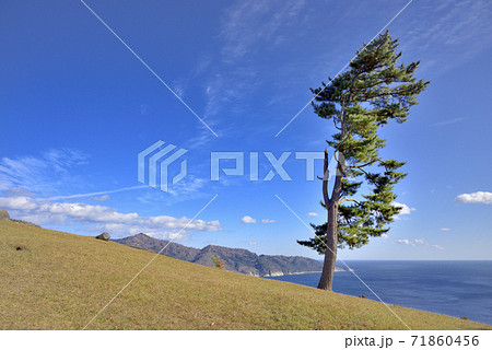 牡鹿半島　御番所公園からの展望 71860456