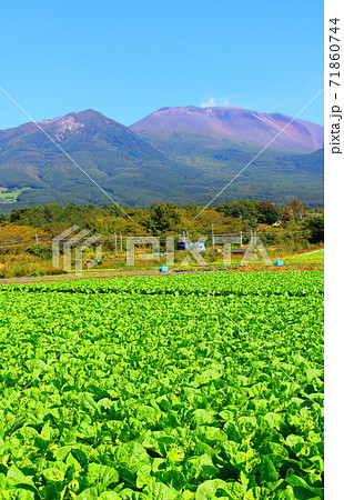 麗しき浅間山 その2011 : 山河が織りなす色紙 その2011 麗しき浅間山 その2011 : 山河が織りなす色紙 その2011 71860744