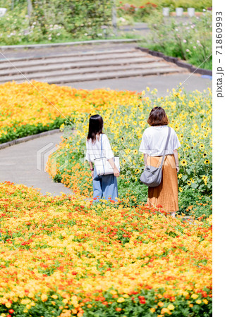 岐阜県 花フェスタ記念公園のミニフラワーとマリーゴールドに囲まれた女性2人の写真素材