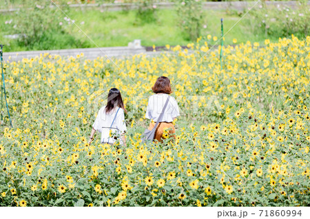 岐阜県 花フェスタ記念公園のミニフラワーに囲まれた女性2人 岐阜県 花フェスタ記念公園のミニフラワーに囲まれた女性2人 71860994