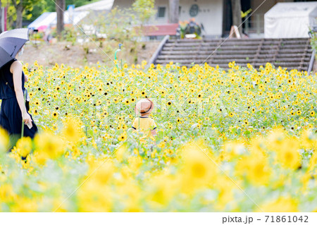 岐阜県 花フェスタ記念公園のミニフラワーに囲まれた親子の写真素材