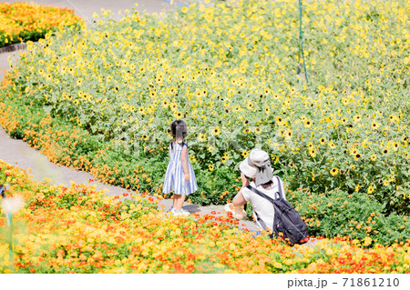 岐阜県 花フェスタ記念公園のミニフラワーとマリーゴールドに囲まれた親子の写真素材