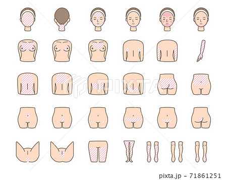 ベクターイラストセット 女性の体 脱毛パーツのイラスト素材